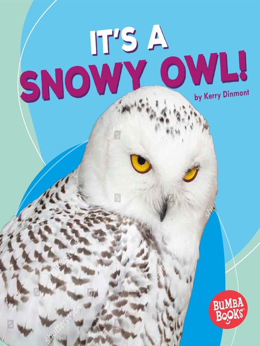 Title details for It's a Snowy Owl! by Kerry Dinmont - Available